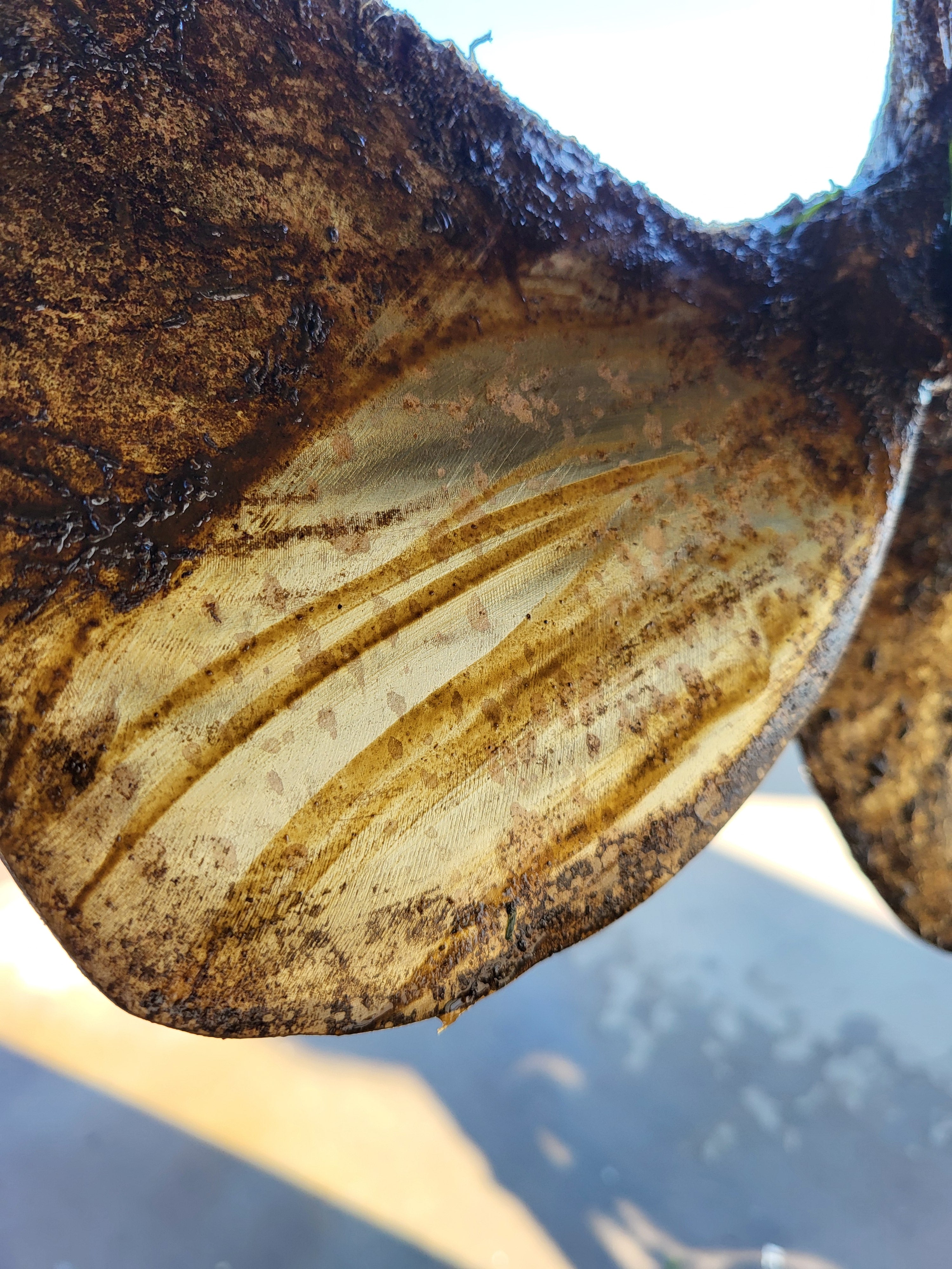 acs3000 yacht keramik versiegelung ergänzung set ppl machen
