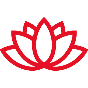 icon_policy